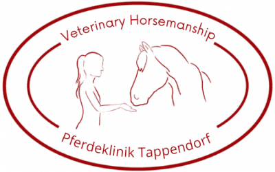 Veterinary Horsemanship