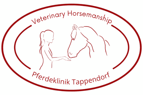 Veterinary Horsemanship