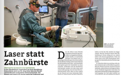 Pferd+Sport Artikel Februar 2021