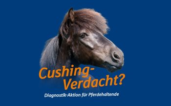 Kostenübernahme Cushing-Test