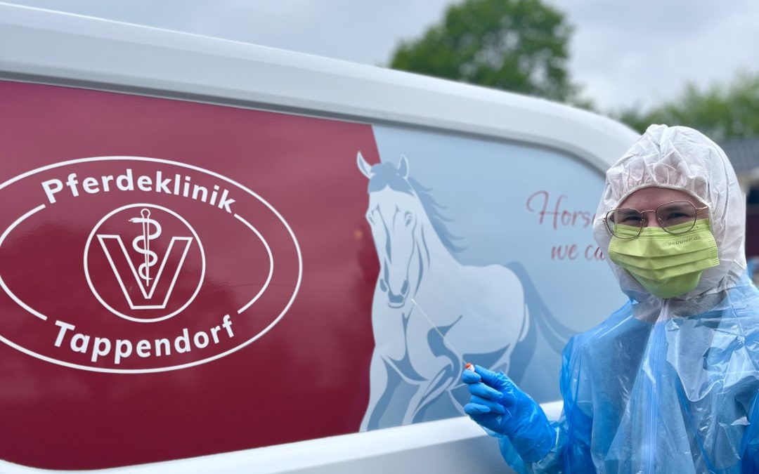 Umgang mit Infektionskrankheiten in der Pferdeklinik Tappendorf