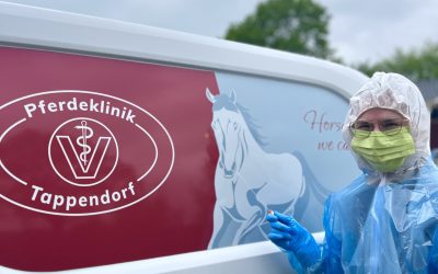 Umgang mit Infektionskrankheiten in der Pferdeklinik Tappendorf
